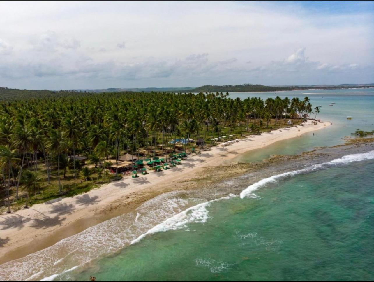 Tamandaré Flat Beira Mar - Carneiros Beach Resort מראה חיצוני תמונה
